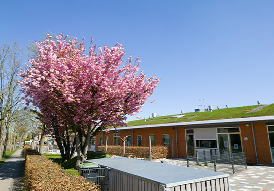 InHeino_voorzieningen_scholen Scholen Heino